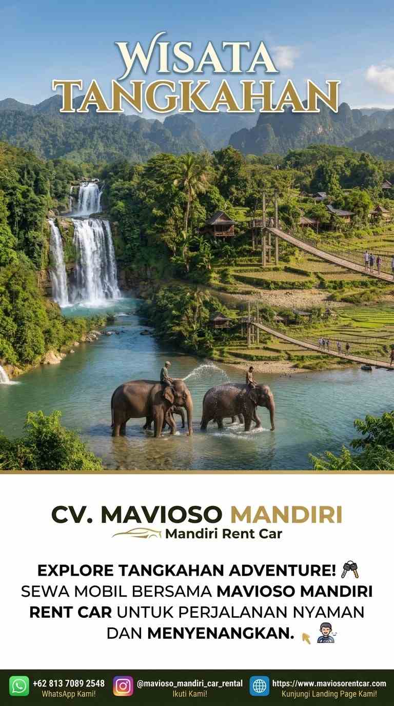 Sewa Mobil Medan ke Wisata Tangkahan Plus Driver Jelajahi Ekowisata Gajah & Petualangan Alam Bersama Mavioso Mandiri